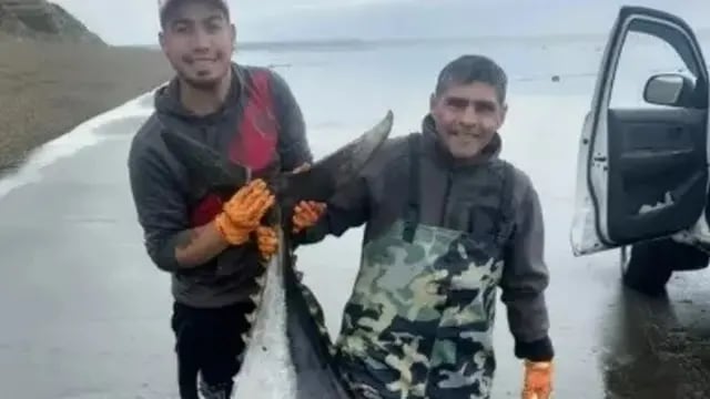 Los pescadores de Río Gallegos con el atún de más de 250 kilos.