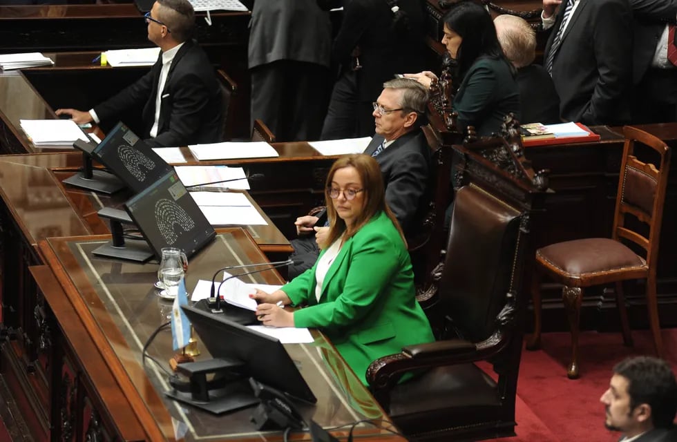 Cecilia Moreau, titular de la Cámara de Diputados. 
Foto Federico Lopez Claro
