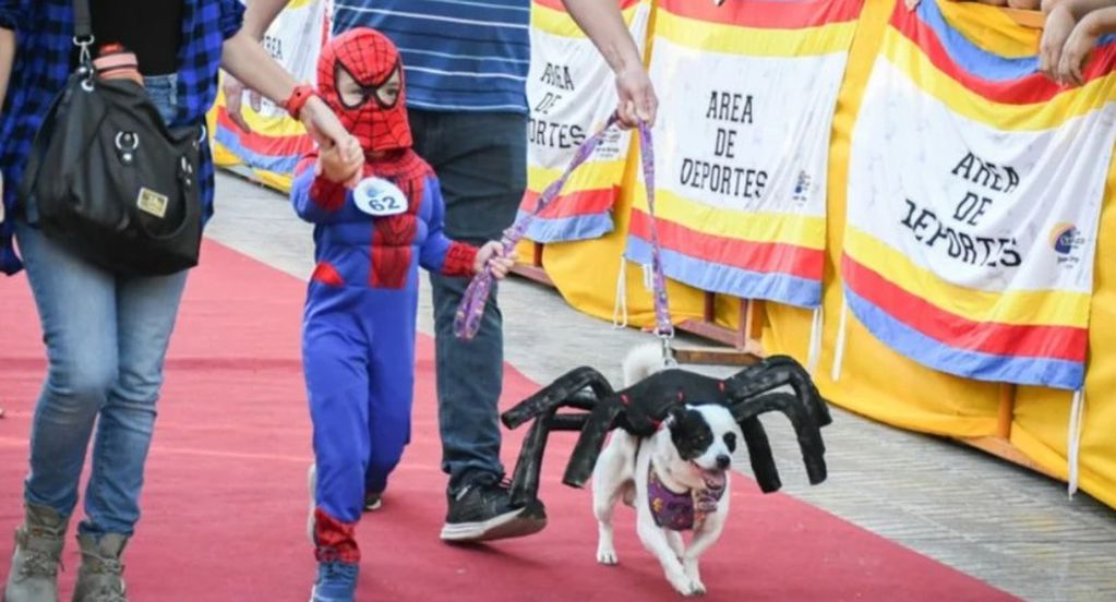 Moviendo las patitas: mascotas sanjuaninas desfilaron para celebrar su día