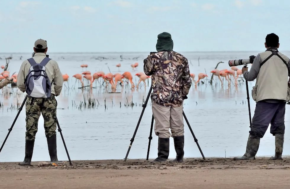 La observación de aves es uno de los atractivos del Mar de Ansenuza. PH Miguel Durando