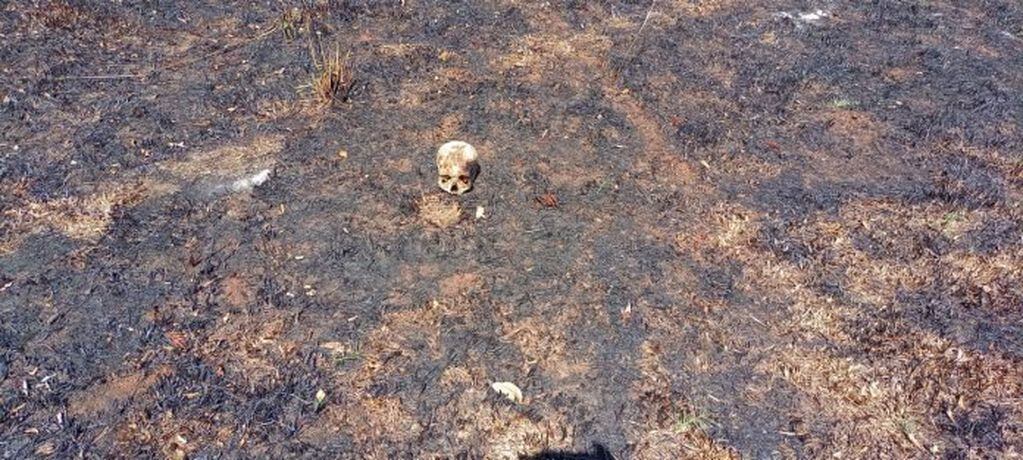 Tras el incendio de una chacra, hallaron un cráneo en el predio.