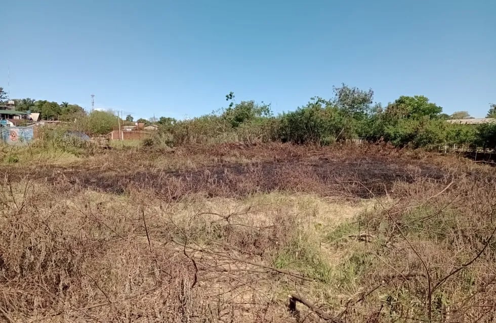 Puerto Iguazú: incendio de pastizales casi causa una catástrofe.
