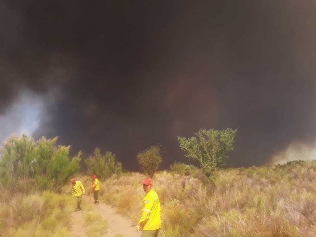 El fuego que se inició el jueves arrasó con más de 1.000 hectáreas y provocó la muerte de animales. 