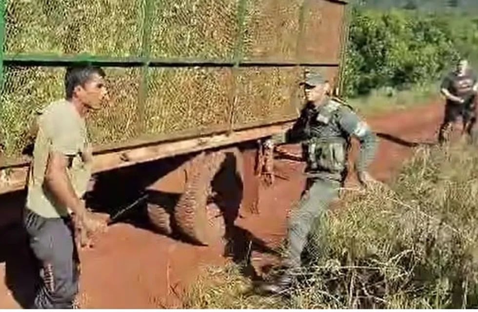 Tensión en yerbales de Comandante Andresito durante operativo del AFIP.