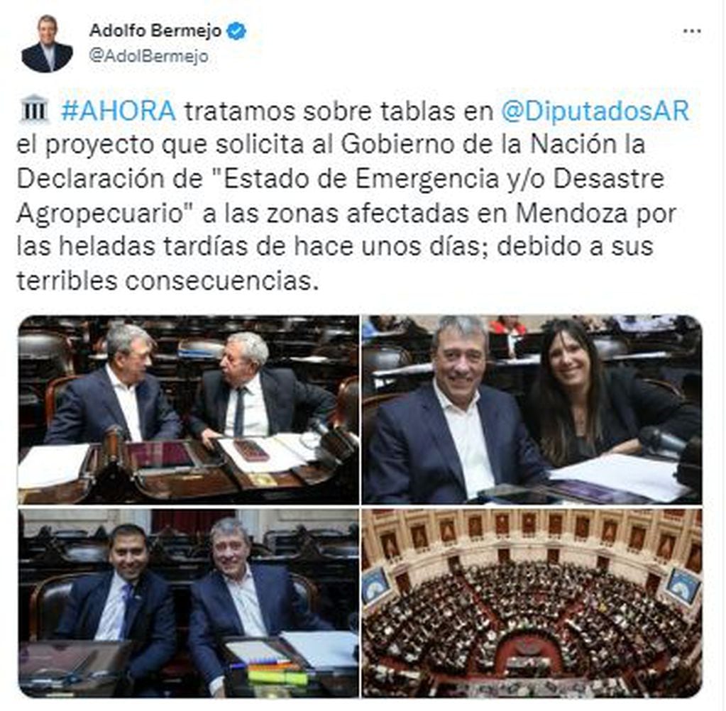 El tuit de Adolfo Bermejo sobre el pedido de declarar "Estado de Emergencia y/o Desastre Agropecuario" en Mendoza.