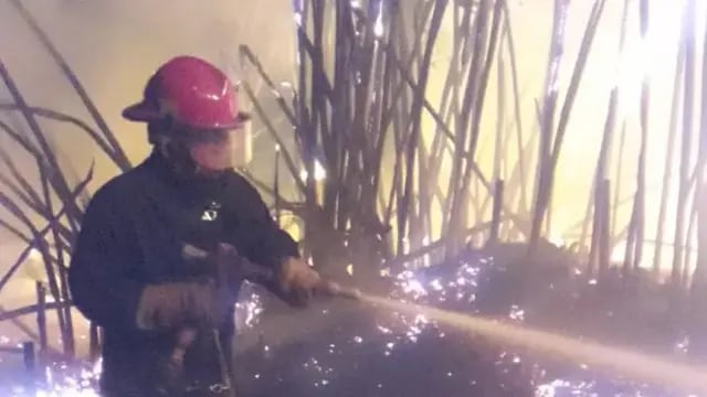 Hipólito Irigoyen: bomberos lograron sofocar un incendio comenzado en un aserradero