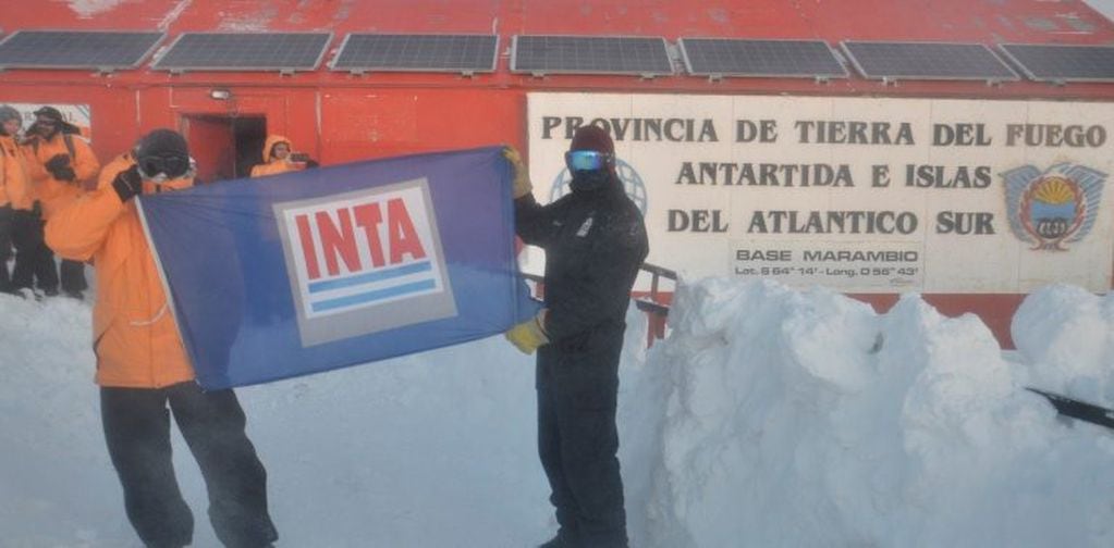 Hidroponia en la Antártida - Base Marambio - INTA