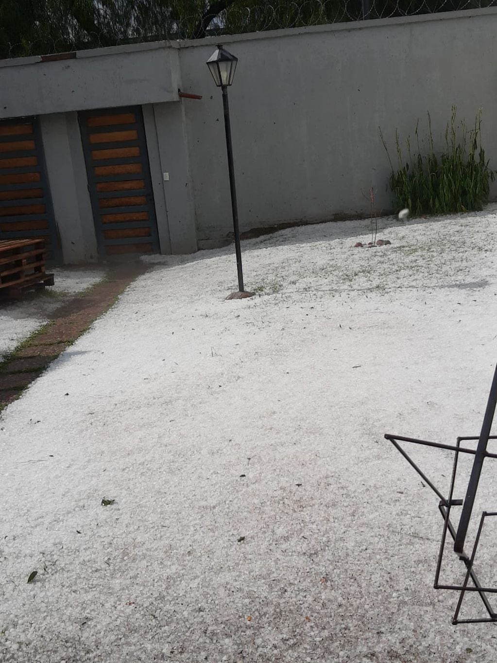 Blanco como nevado quedó el jardín de una casa en Dorrego. (Eliana Robba)