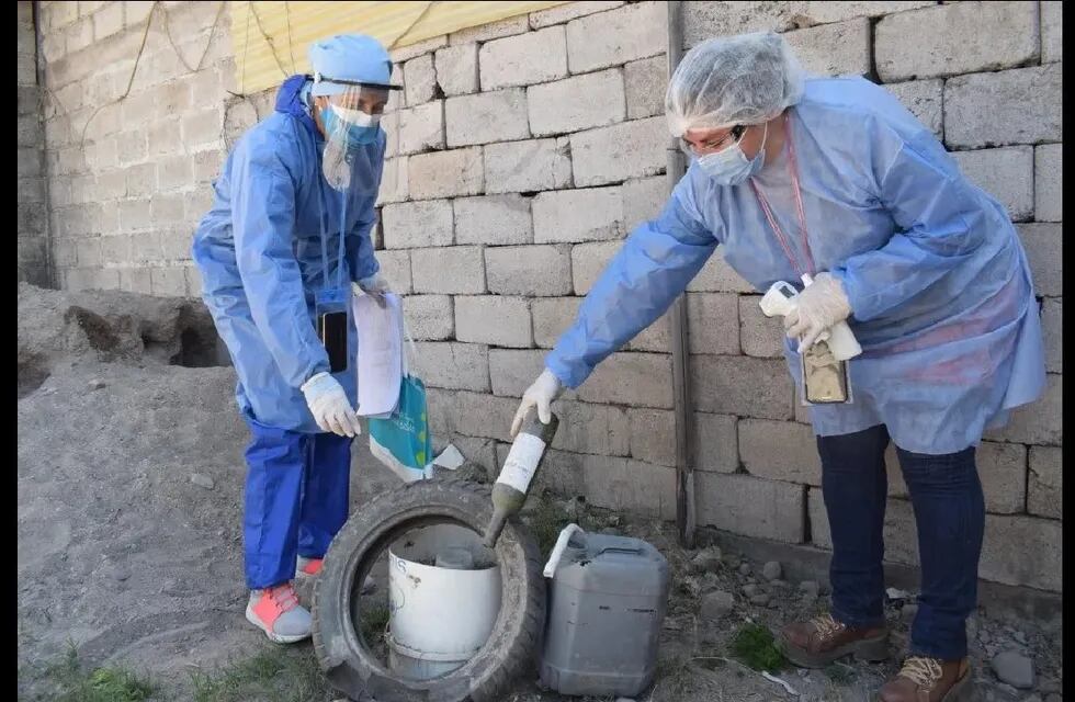 Las precipitaciones pluviales características de esta época en la zona favorecen la proliferación del mosquito transmisor del dengue por lo que se debe eliminar recipientes que permanecen a la intemperie.