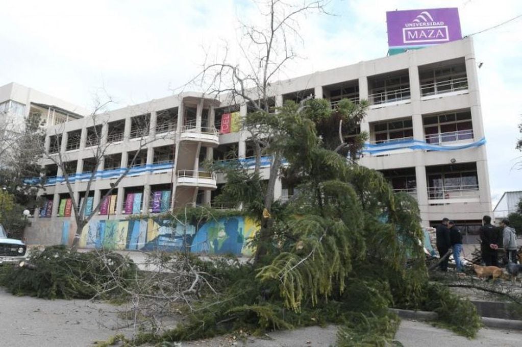 La caída de un árbol derrumbó las paredes perimetrales de la Universidad Nacional Maza.