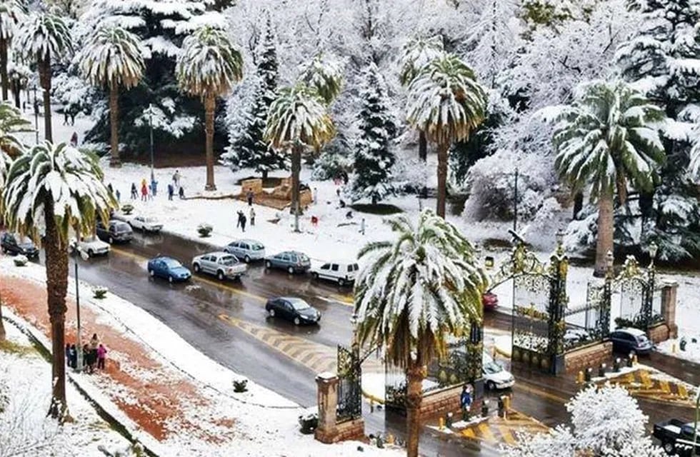 Mendoza nevada
