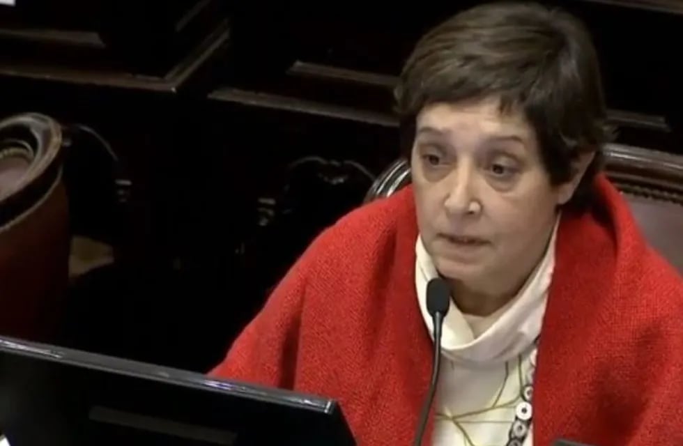 Beatriz Mirkin anticipó que no seguirá a Pichetto y votará en contra del Presupuesto 2019.