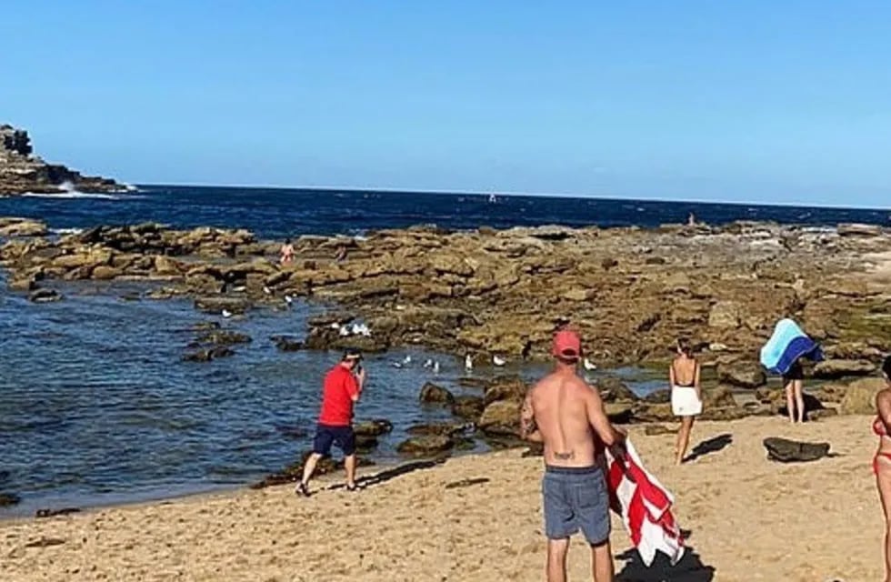 La playa Little Bay, que fue clausurada tras el ataque del tiburón.