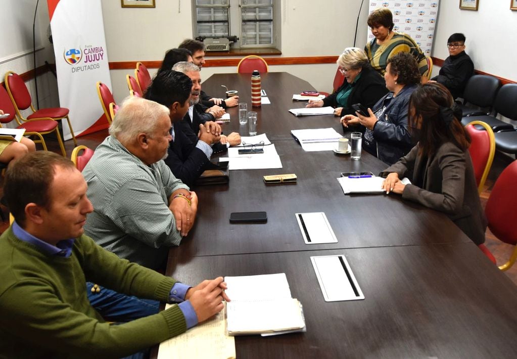 La contadora Susana Ustarez se reunió con diputados de la Provincia, en su carácter de secretaria general de APOC Jujuy y representando a la Intergremial de Jujuy.