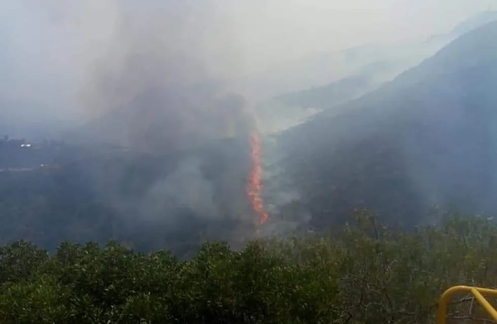 Incendio forestal en Los Cocos. (Foto: gentileza 24 Crónica Cosquín HD).
