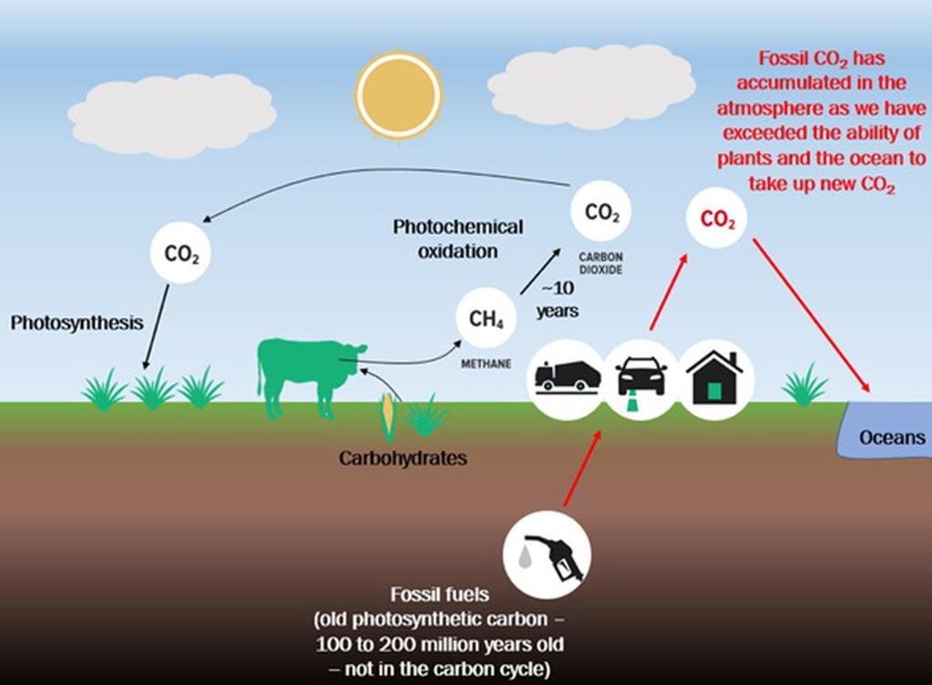 Ciclo ambiental y gases de invernadero en producción ganadera