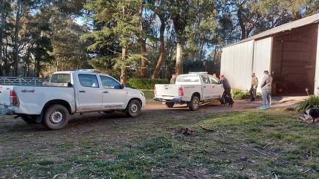 Realizan dos allanamientos en Balcarce por robo y faena de ganado en la zona