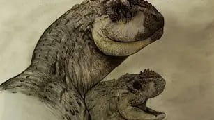 La National Geographic compartió el nuevo descubrimiento de un dinosaurio en Roca