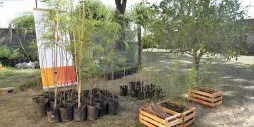 Entrega de árboles en Arroyito