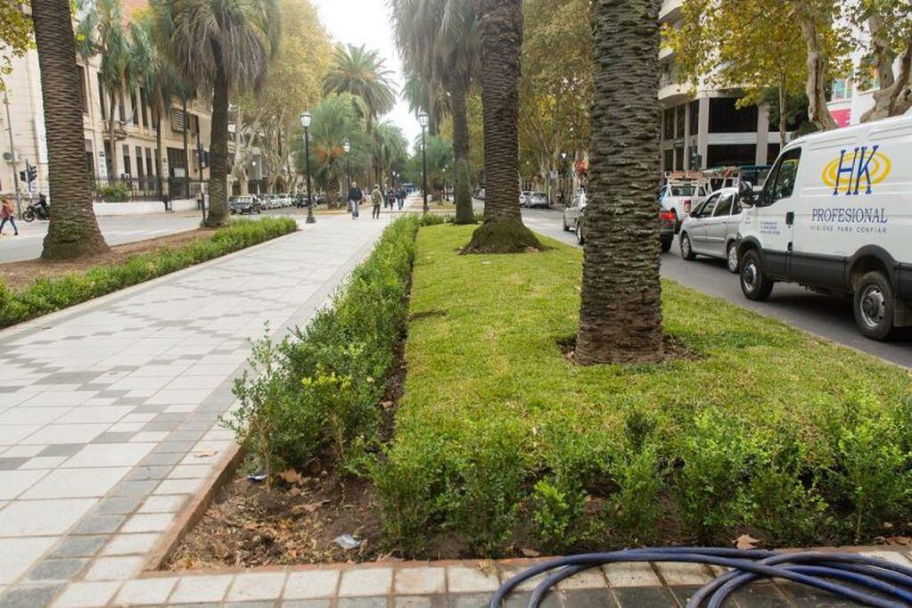 Remodelación arbolado y vegetación de boulevard Oroño (Flickr: Manolo74)