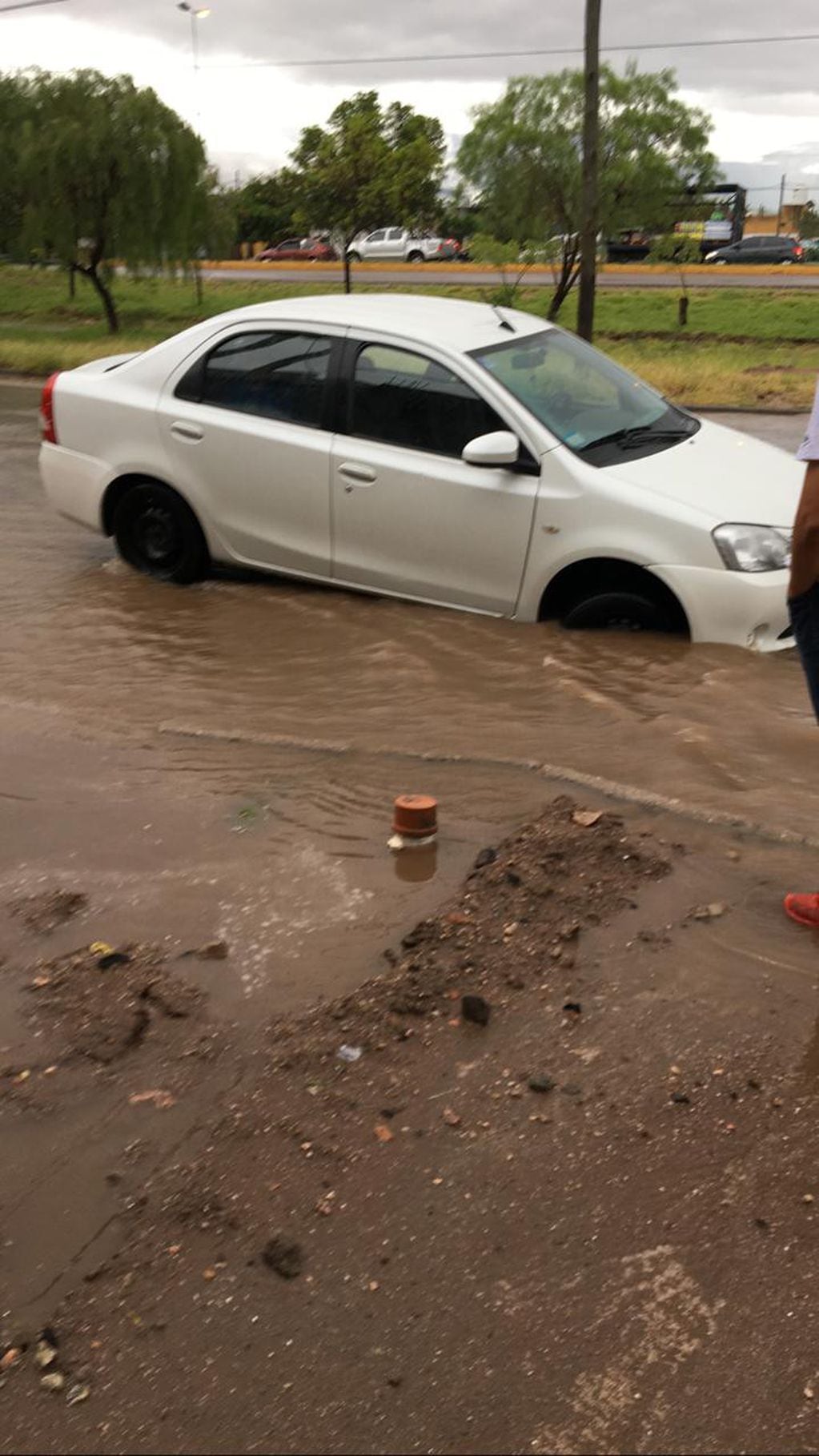 Intensas precipitaciones en La Rioja provocaron el desborde de agua en las calles y afectó a varios autos