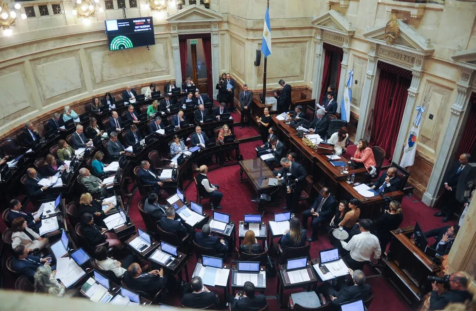 Cristina Fernández De Kirchner en el Senado de la nación durante una sesión .
Foto Federico Lopez Claro