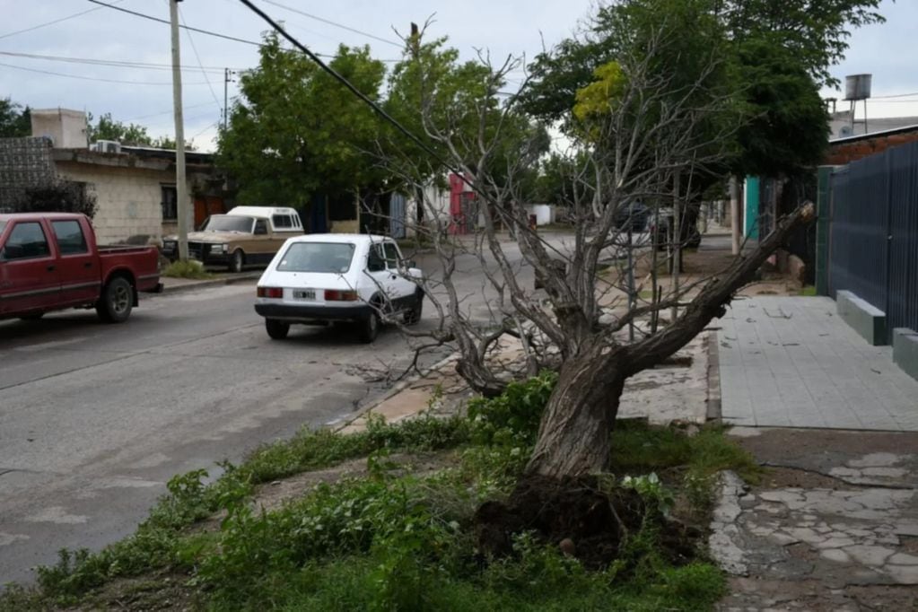 Destrozos que dejó la tormenta en San Luis