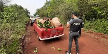 Un hombre terminó detenido por el robo de hoja verde en Apóstoles