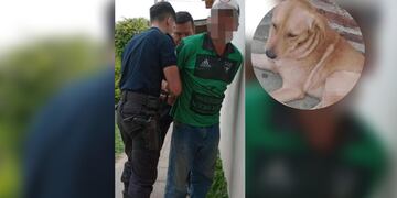 Gran repudio a un hombre que atacó a puñaladas a un perrito y lo detuvieron cuando quiso escapar en Corrientes.