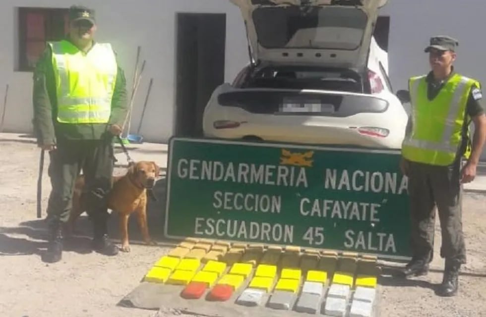 Droga en Cafayate (Gendarmería Nacional)