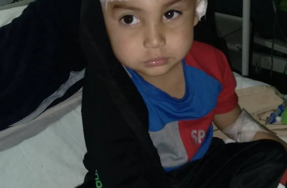 El pequeño se recupera en el Hospital Guillermo Rawson.