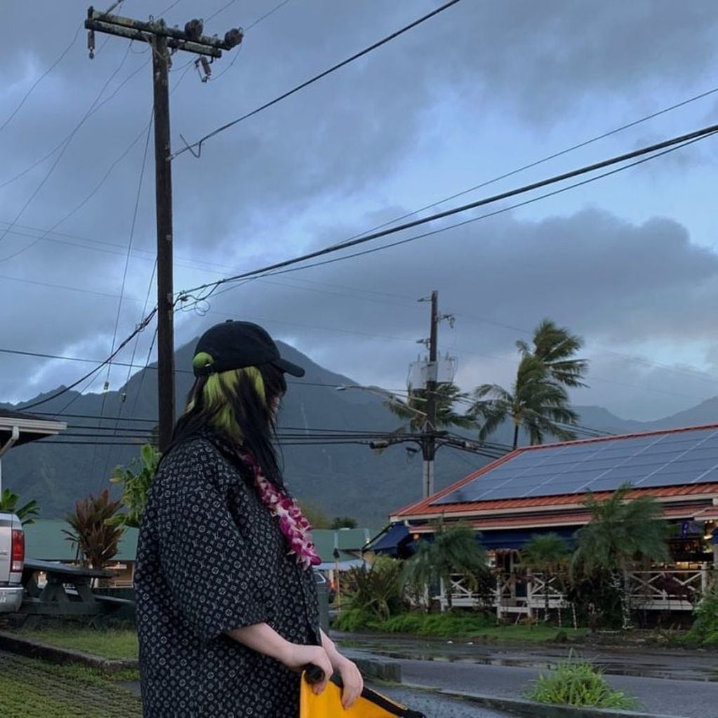Las fotos son de sus vacaciones a inicio de año en Hawaii. (Instagram/@billieeilish)