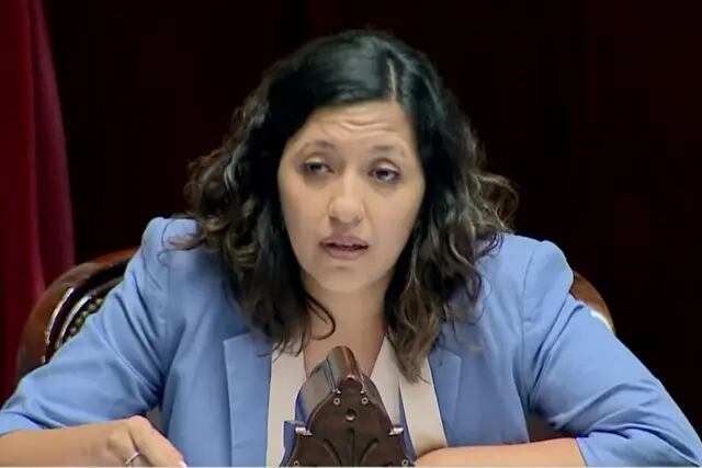 Dip. Leila Chaher (UxP - Jujuy)