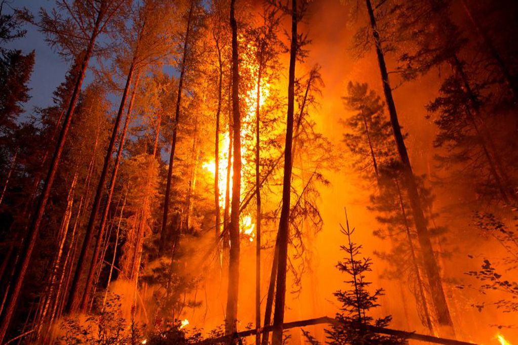 Incendio Forestal en Irkutsk Oblast, Rusia - - © Anna Baskakova / Greenpeace