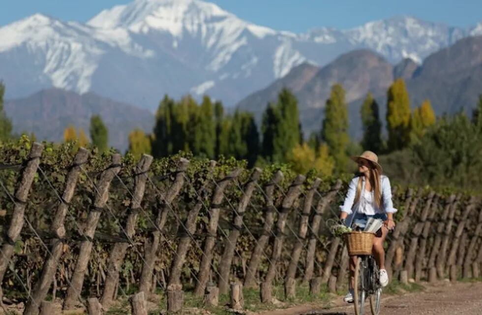 Las bodegas del mundo están en Mendoza y participan del World’s Best Vineyards.