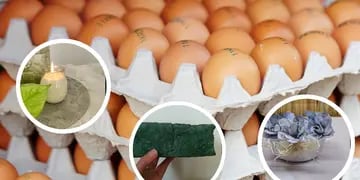 No solo para los mosquitos: 3 ideas para reciclar al máximo maples de huevos