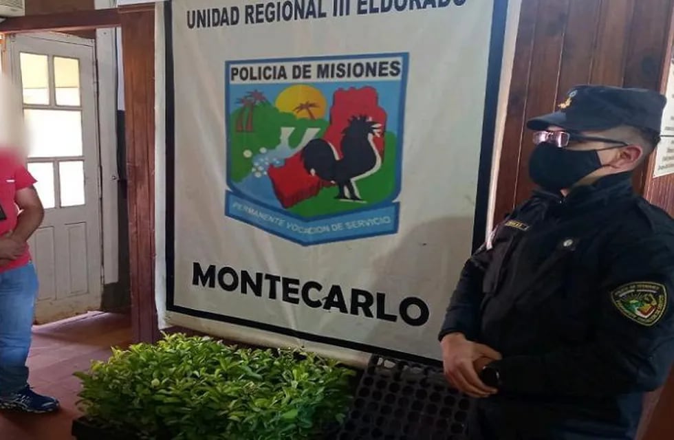 Colonia Laharrague: recuperan plantines de yerba. Policía de Misiones