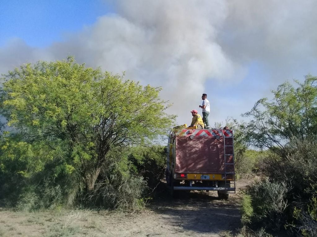 Brigadistas del PPMF trabajaron para extinguir las llamas que consumieron más de 1.000 hectáreas en La Llave en San Rafael. 