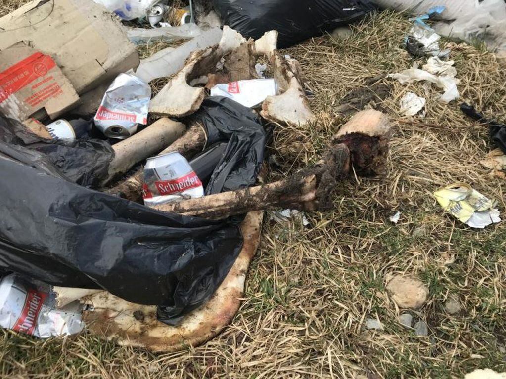 Hallazgo de animales muertos en un predio municipal de Tolhuin
