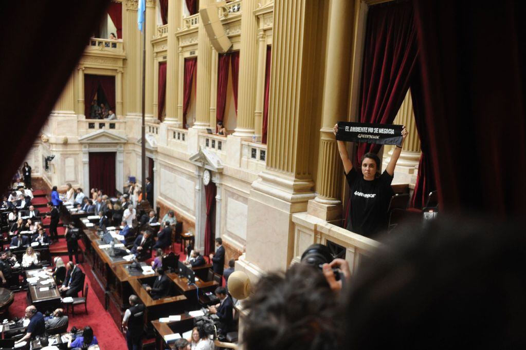 "Ley ómnibus". Greenpeace protestó en Diputados en medio de la sesión. (Federico López Claro)