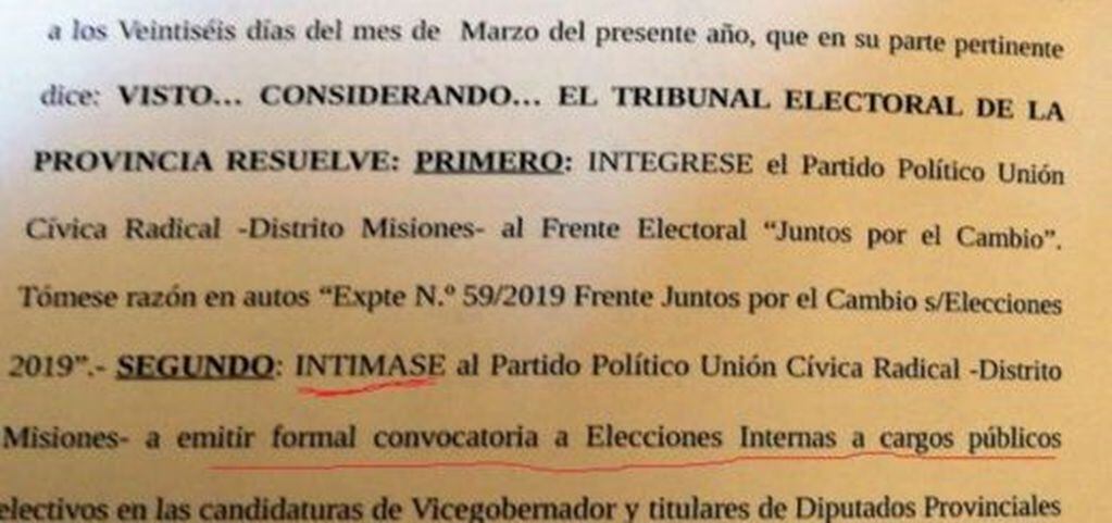 Decisión del Tribunal Electoral de Misiones. (WEB)