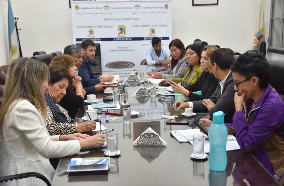 La Comisión de Ambiente se reunió en el salón "Pilar Bermúdez" de la Legislatura de Jujuy.
