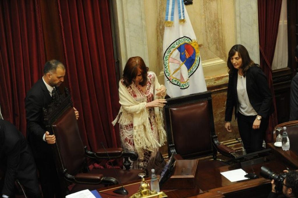 Cristina Fernández de Kirchner en el Senado (Foto: Clarín)
