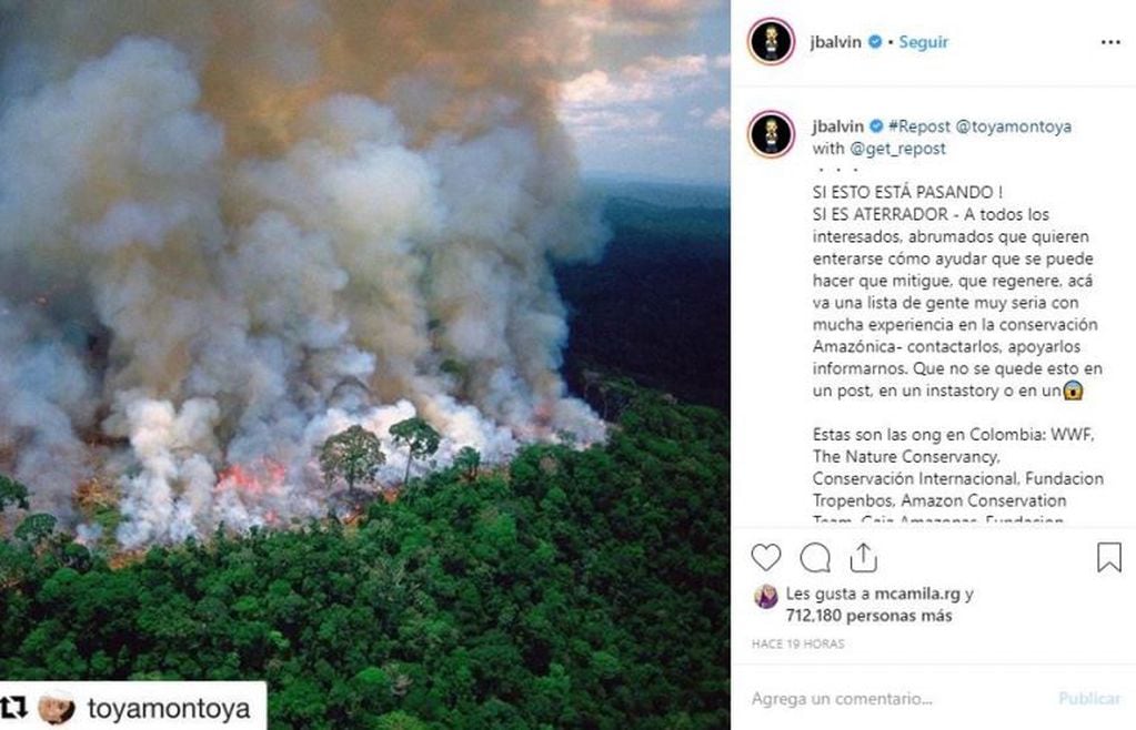 Los famosos llaman a concientizar sobre los incendios en el Amazonas (Instagram)