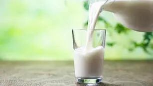 ¿Se puede frizar la leche? Cómo hacerlo y durante cuánto tiempo para que no se eche a perder