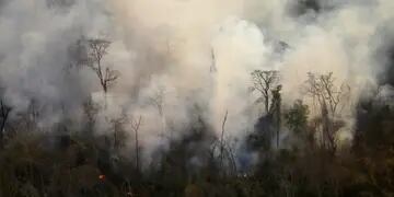 Incendios forestales en Jujuy