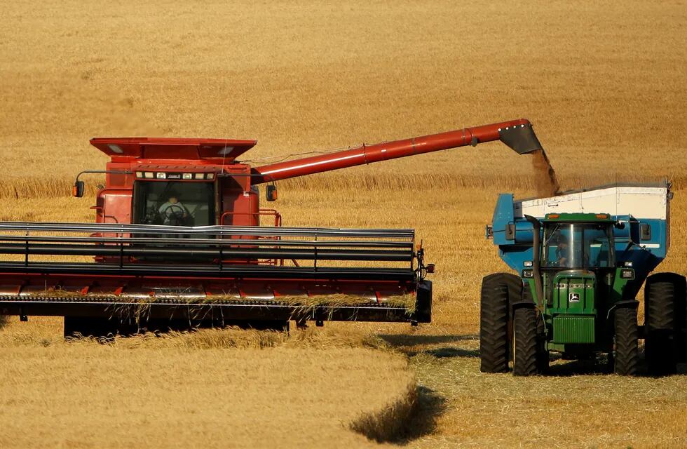 COSECHA. A medida que avance la recoleccion del cereal, y la exportación tenga menos presencia en el mercado, el precio del trigo se vería afectado. (AP)
