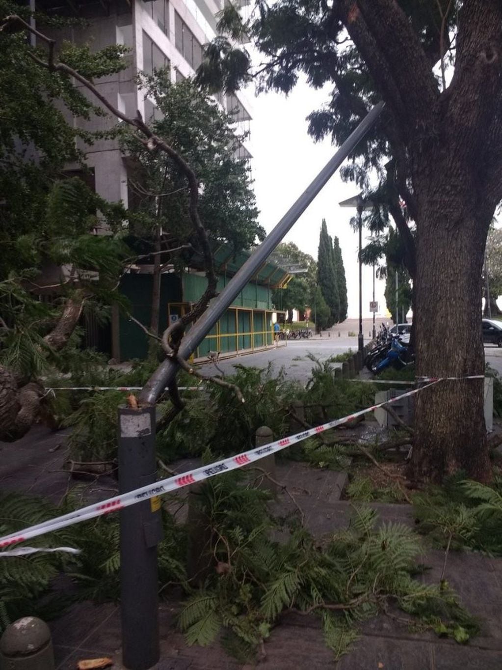 El viento provocó la caída de un árbol y de una columna de alumbrado público frente a la Fundación Libertad en Rosario. (@belitaonline)