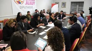 Comisión de Educación, Legislatura de Jujuy