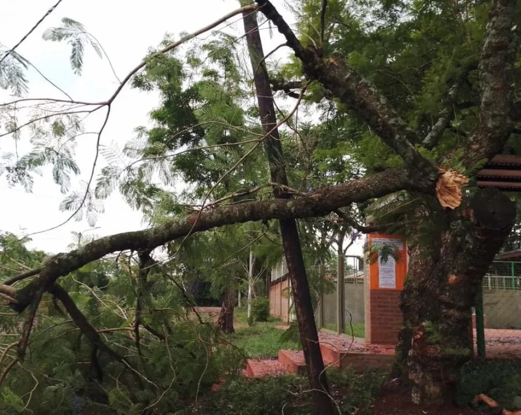 Fuerte tormenta causó daños en varias localidades misioneras.